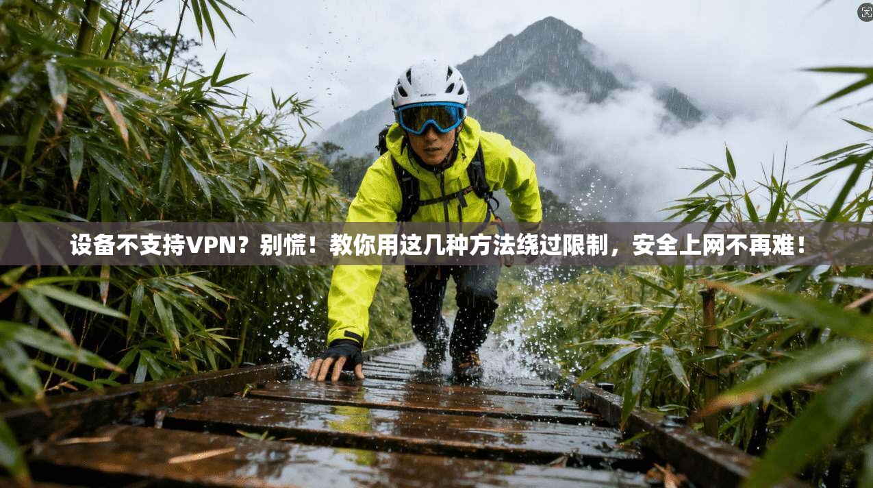 设备不支持VPN？别慌！教你用这几种方法绕过限制，安全上网不再难！
