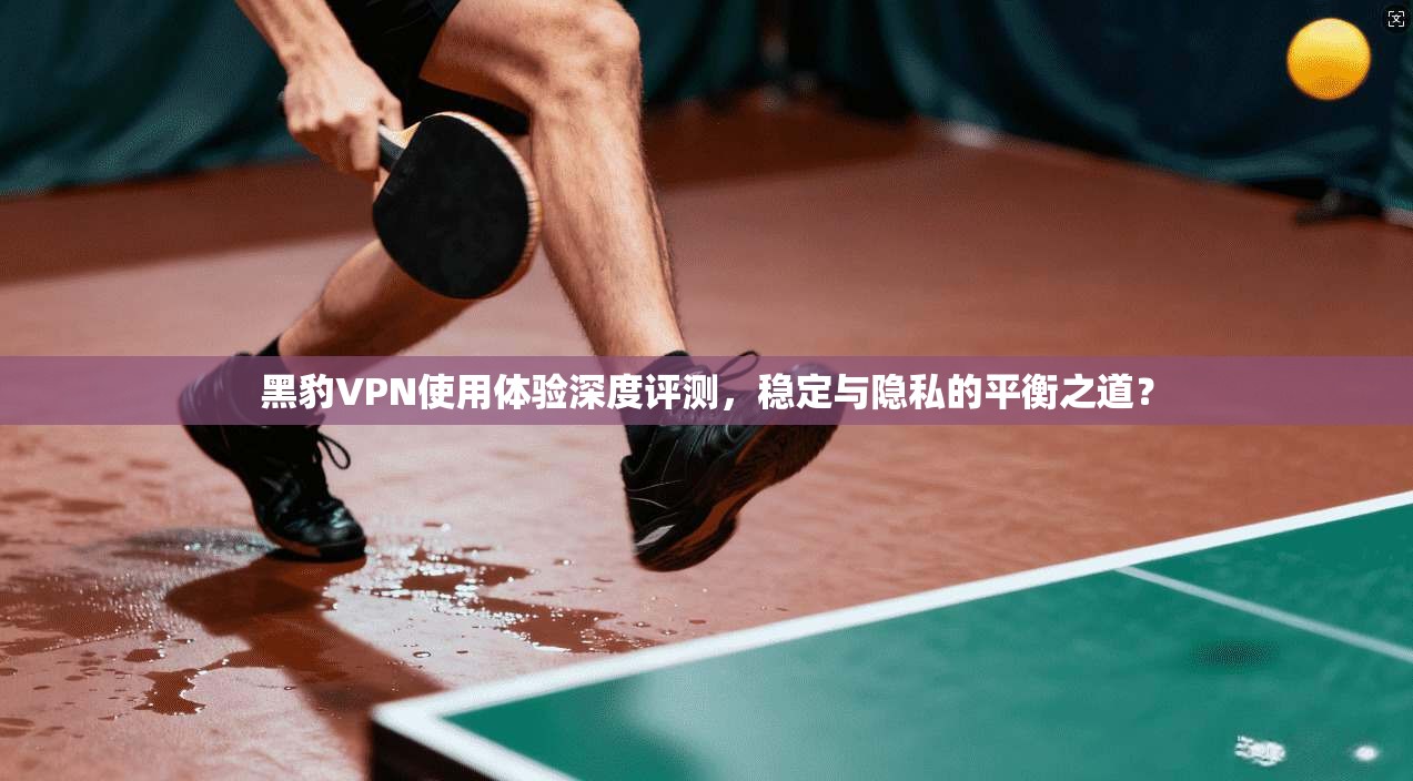 黑豹VPN使用体验深度评测，稳定与隐私的平衡之道？