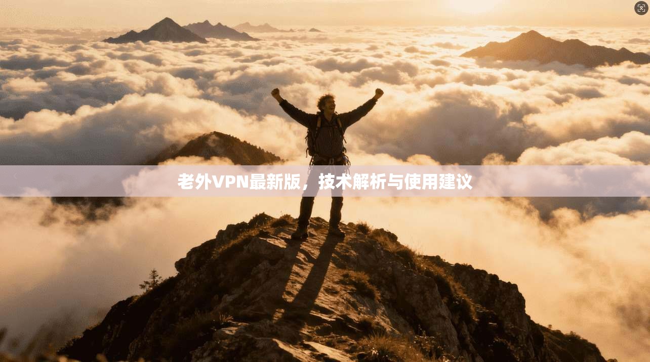 老外VPN最新版，技术解析与使用建议