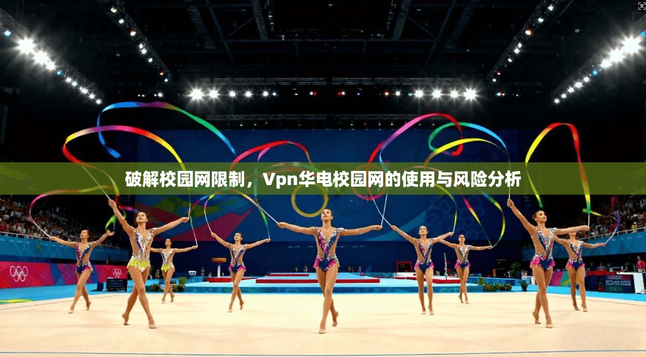 破解校园网限制，Vpn华电校园网的使用与风险分析  第1张