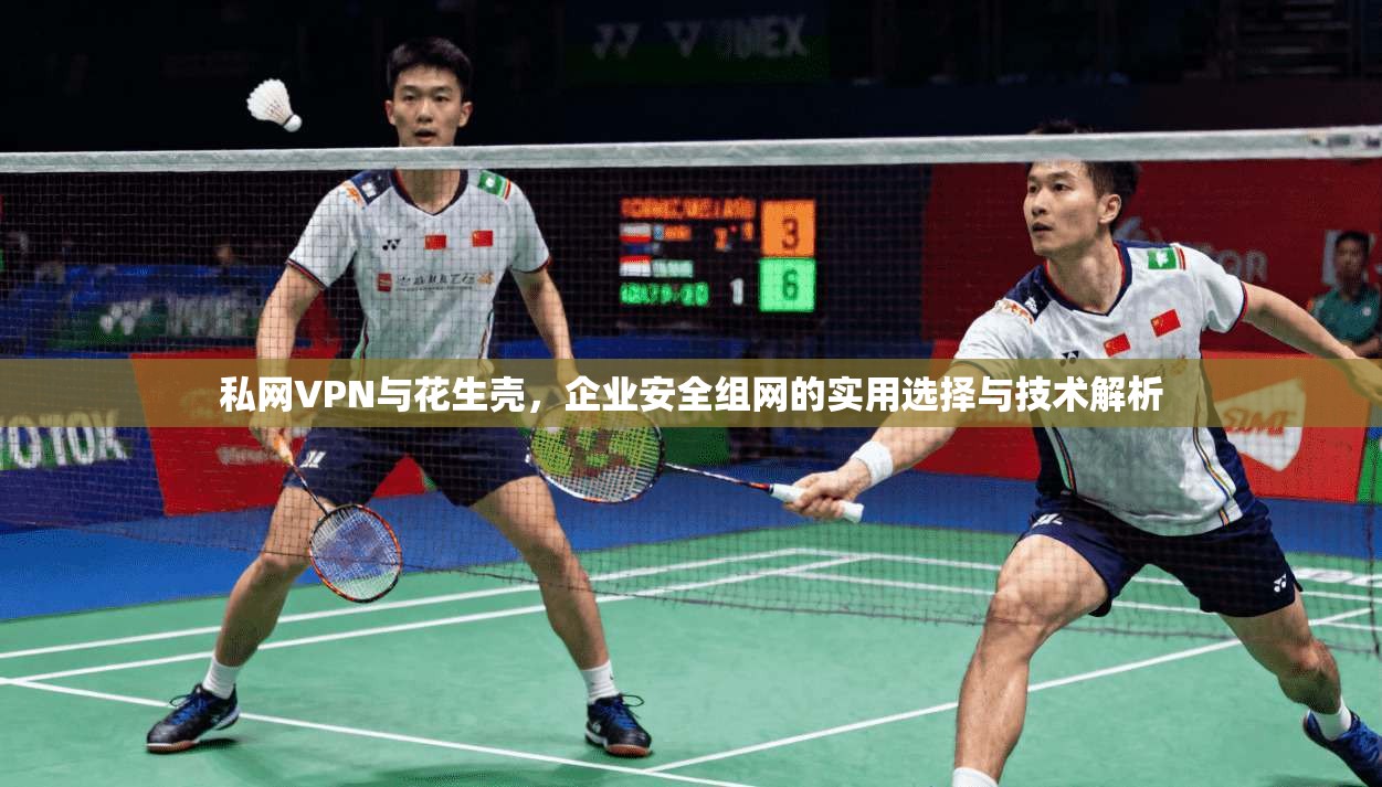 私网VPN与花生壳，企业安全组网的实用选择与技术解析  第1张