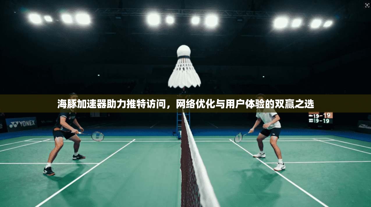 海豚加速器助力推特访问,网络优化与用户体验的双赢之选