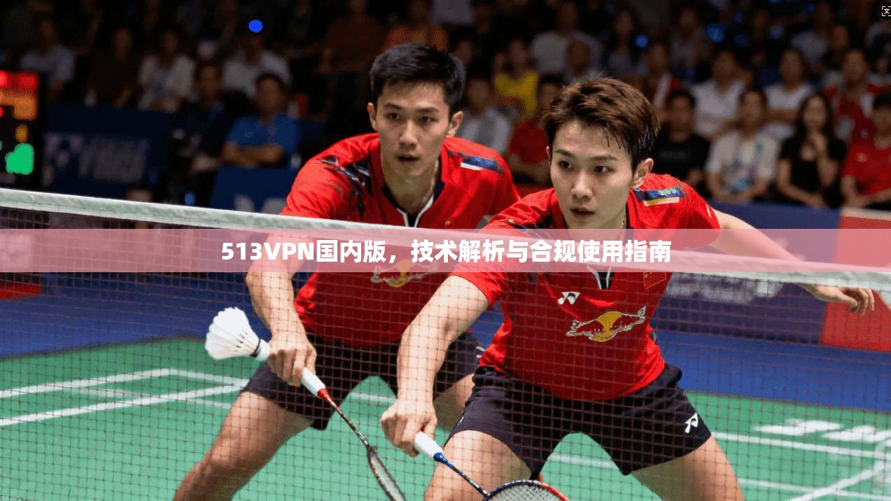 513VPN国内版,技术解析与合规使用指南