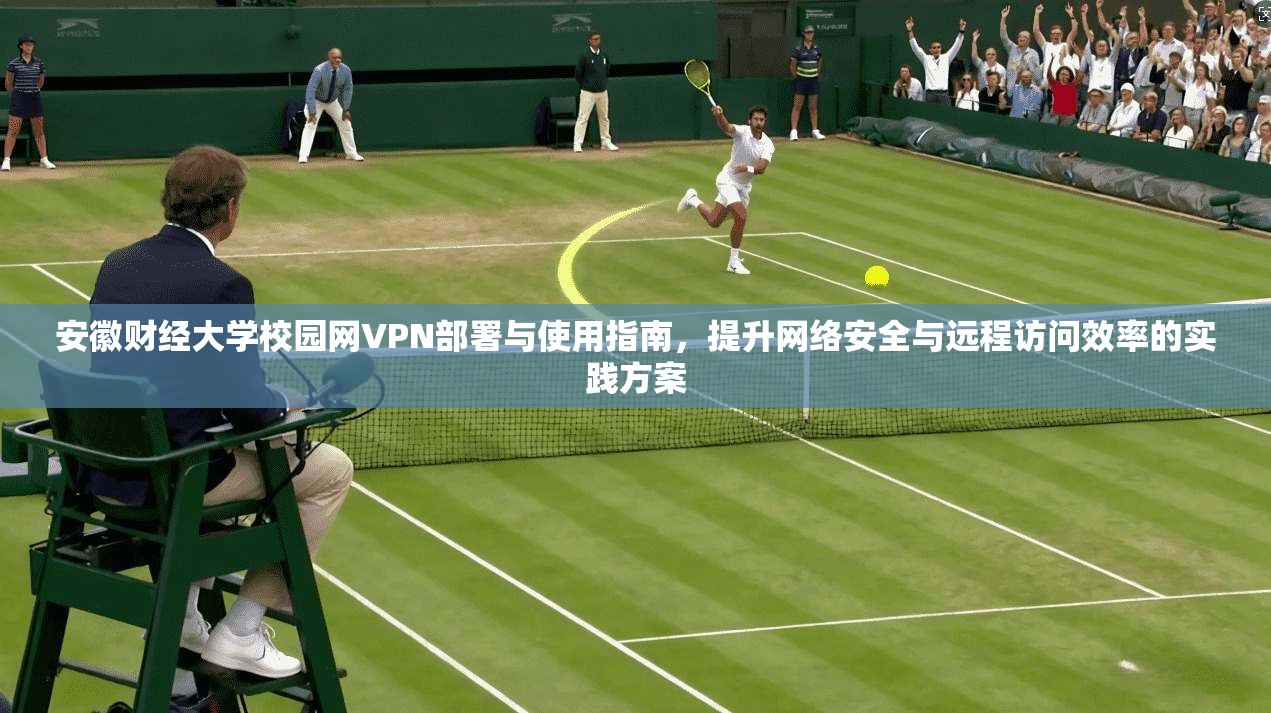 安徽财经大学校园网VPN部署与使用指南,提升网络安全与远程访问效率的实践方案