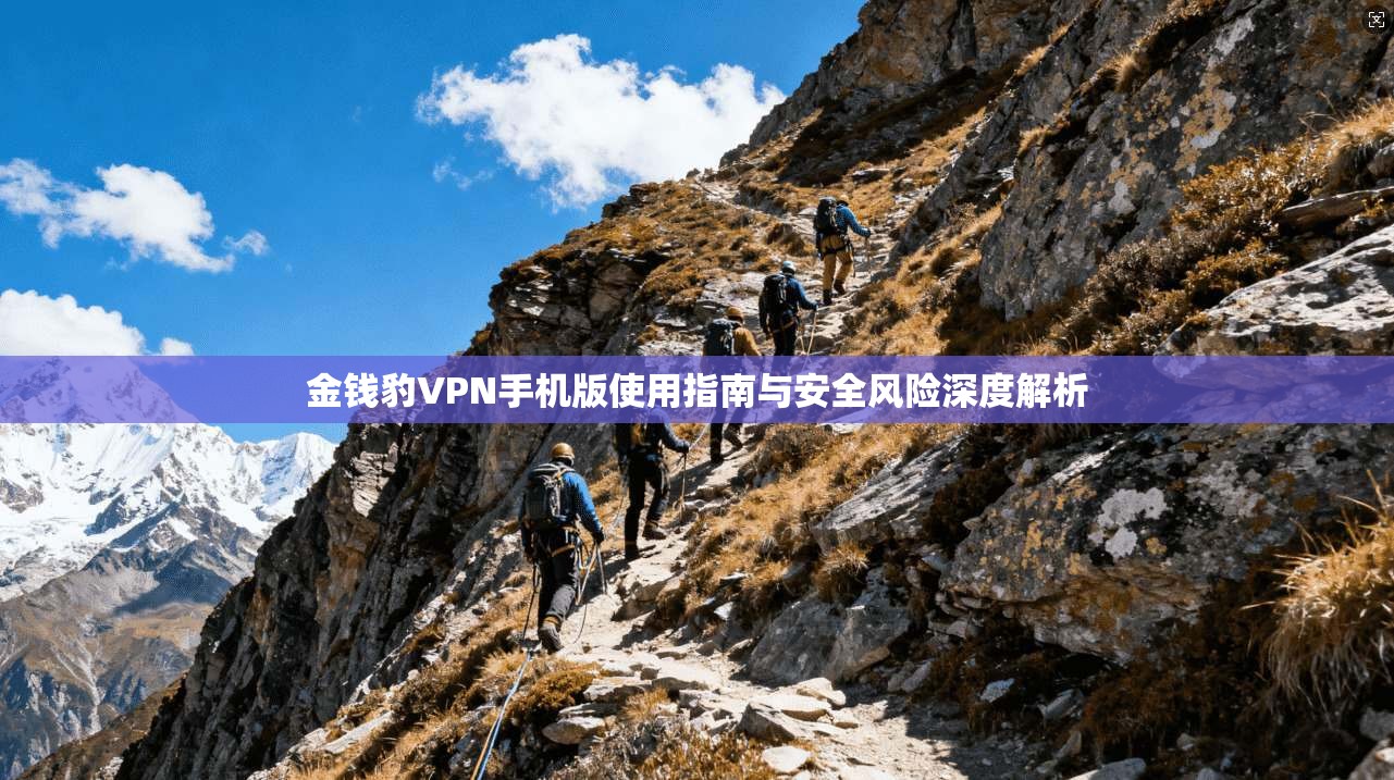 金钱豹VPN手机版使用指南与安全风险深度解析  第1张