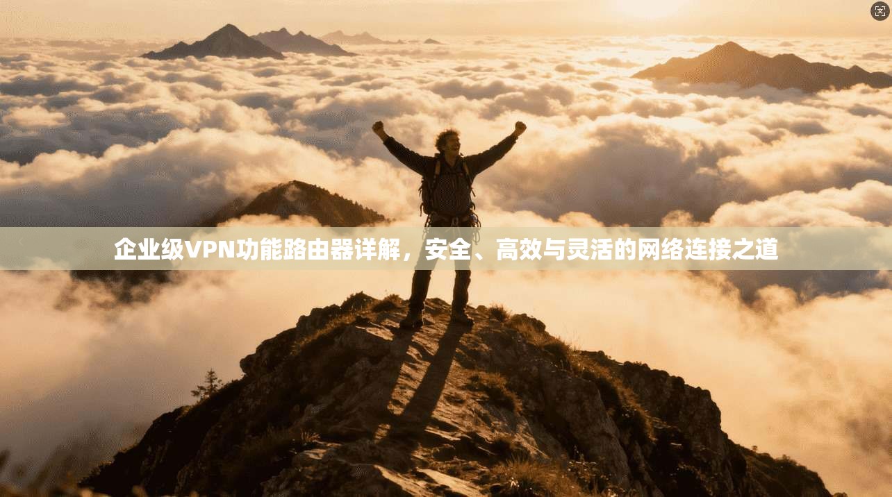 企业级VPN功能路由器详解，安全、高效与灵活的网络连接之道  第1张