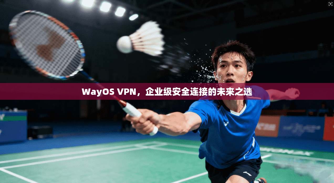 WayOS VPN，企业级安全连接的未来之选