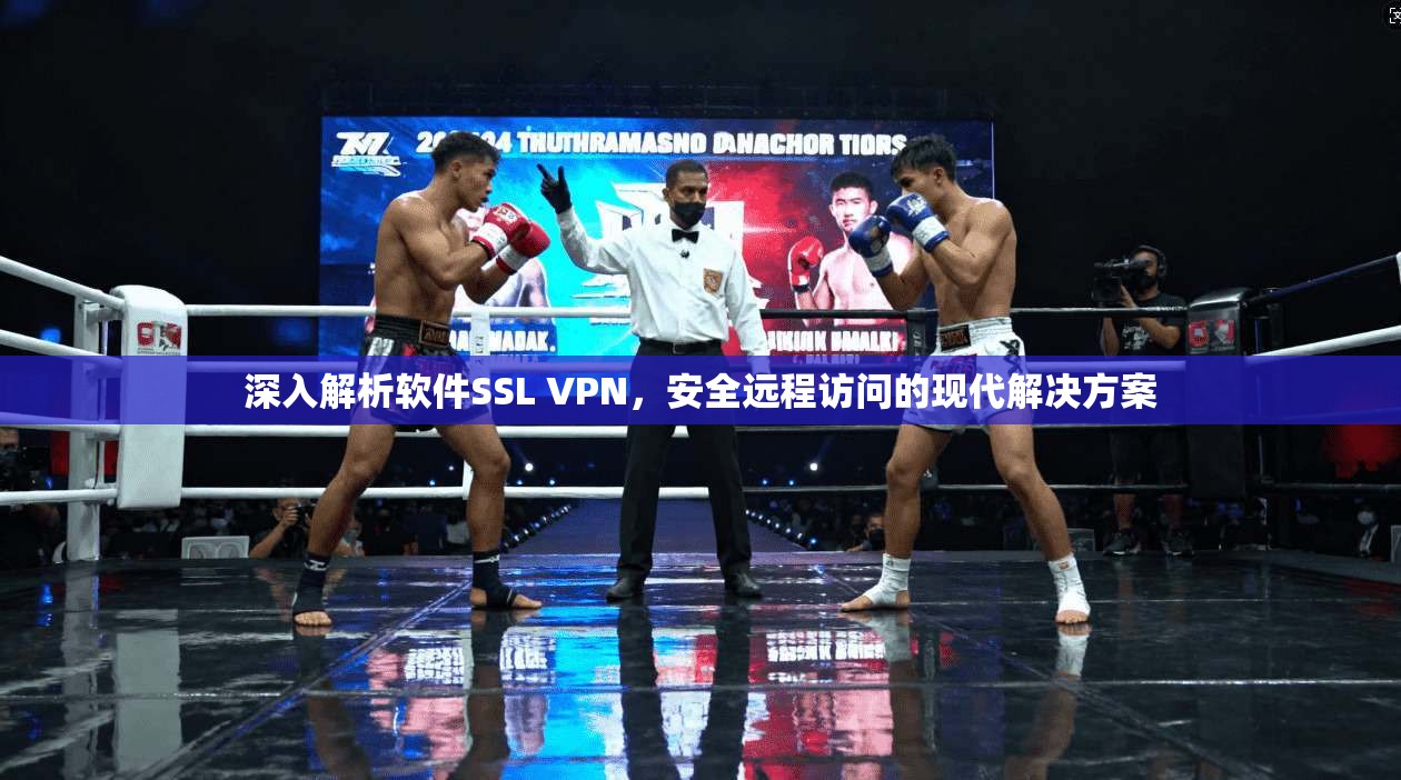 深入解析软件SSL VPN，安全远程访问的现代解决方案  第1张