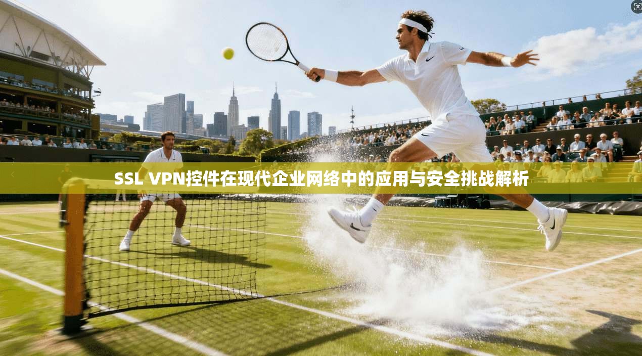 SSL VPN控件在现代企业网络中的应用与安全挑战解析  第1张