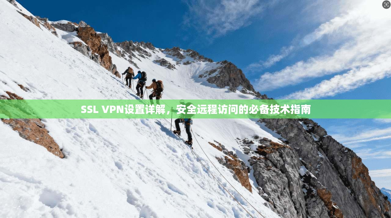 SSL VPN设置详解，安全远程访问的必备技术指南