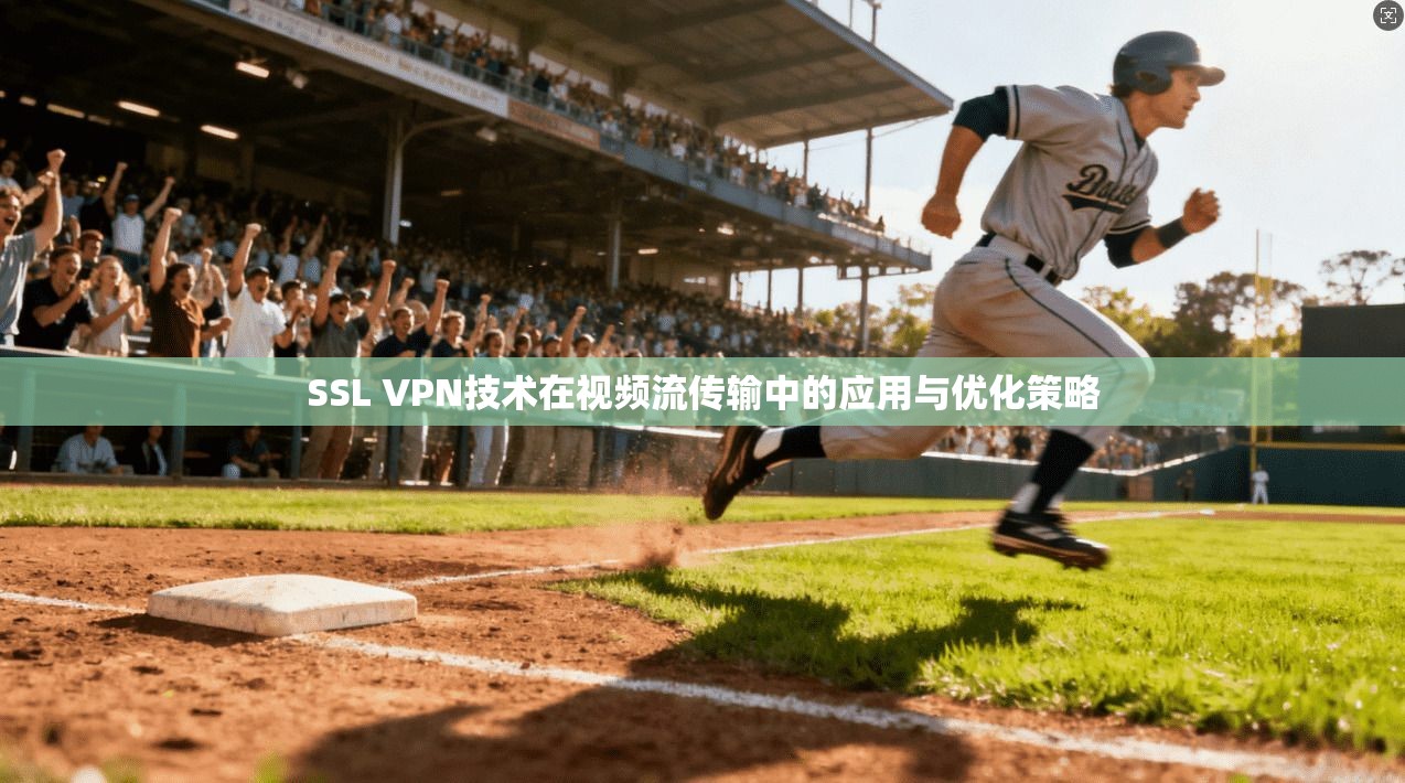 SSL VPN技术在视频流传输中的应用与优化策略