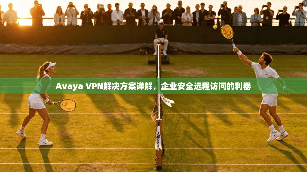 Avaya VPN解决方案详解，企业安全远程访问的利器