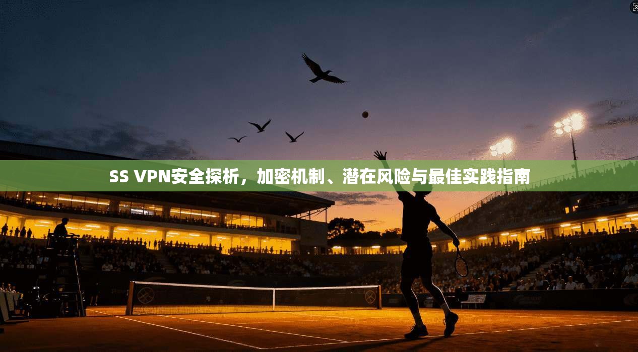 SS VPN安全探析，加密机制、潜在风险与最佳实践指南