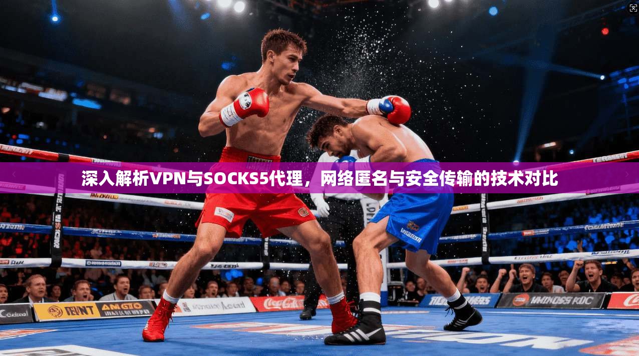 深入解析VPN与SOCKS5代理，网络匿名与安全传输的技术对比
