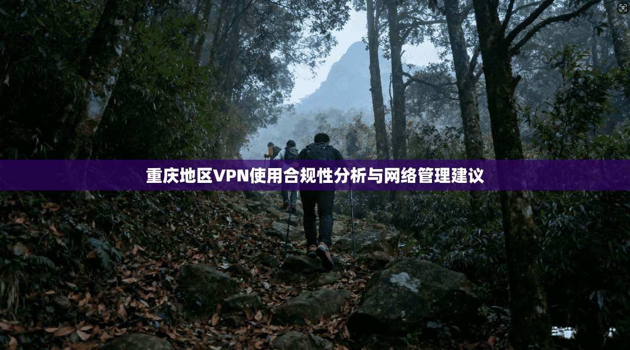 重庆地区VPN使用合规性分析与网络管理建议