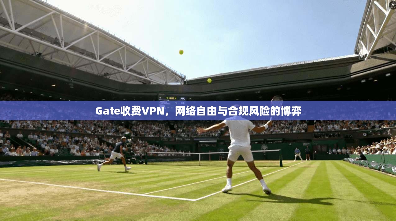 Gate收费VPN，网络自由与合规风险的博弈