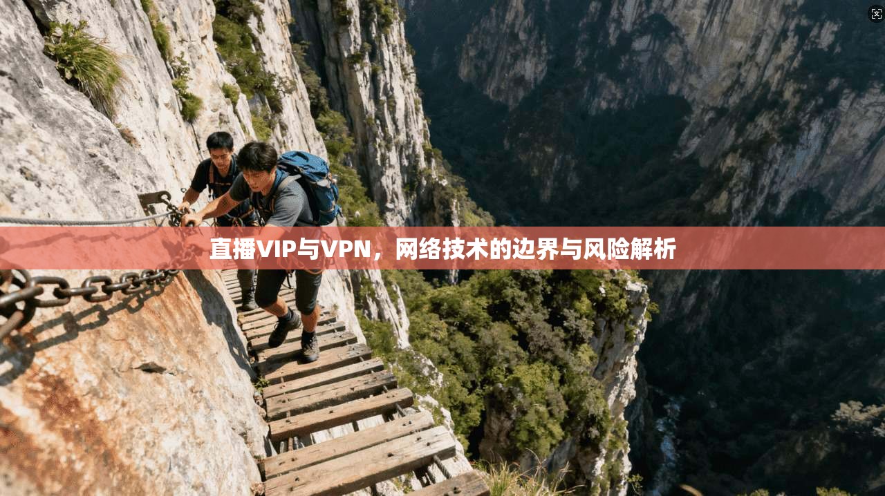 直播VIP与VPN，网络技术的边界与风险解析