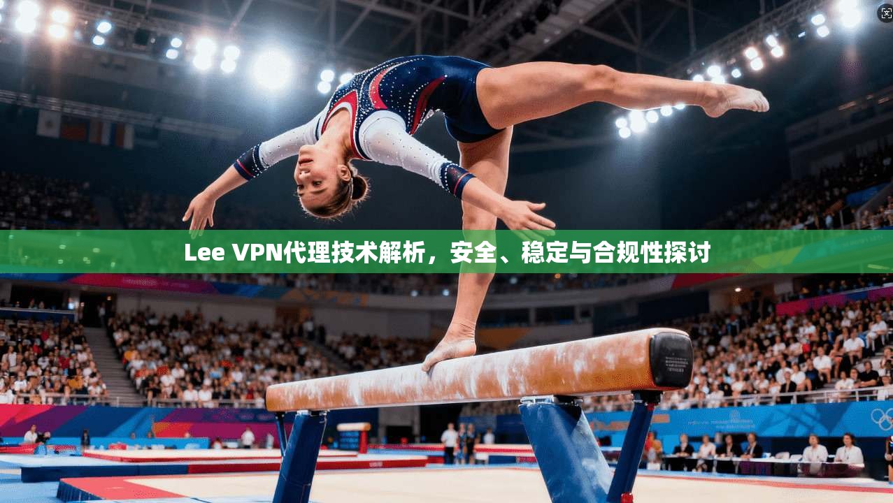 Lee VPN代理技术解析，安全、稳定与合规性探讨