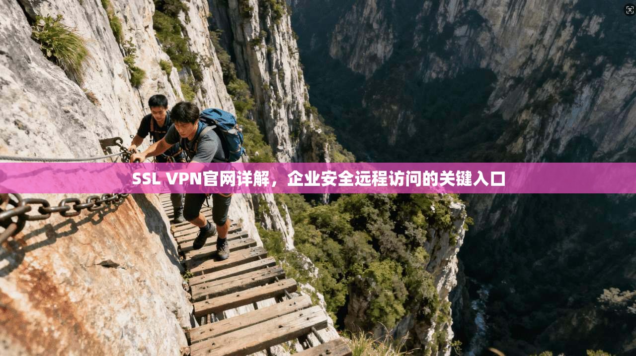 SSL VPN官网详解，企业安全远程访问的关键入口