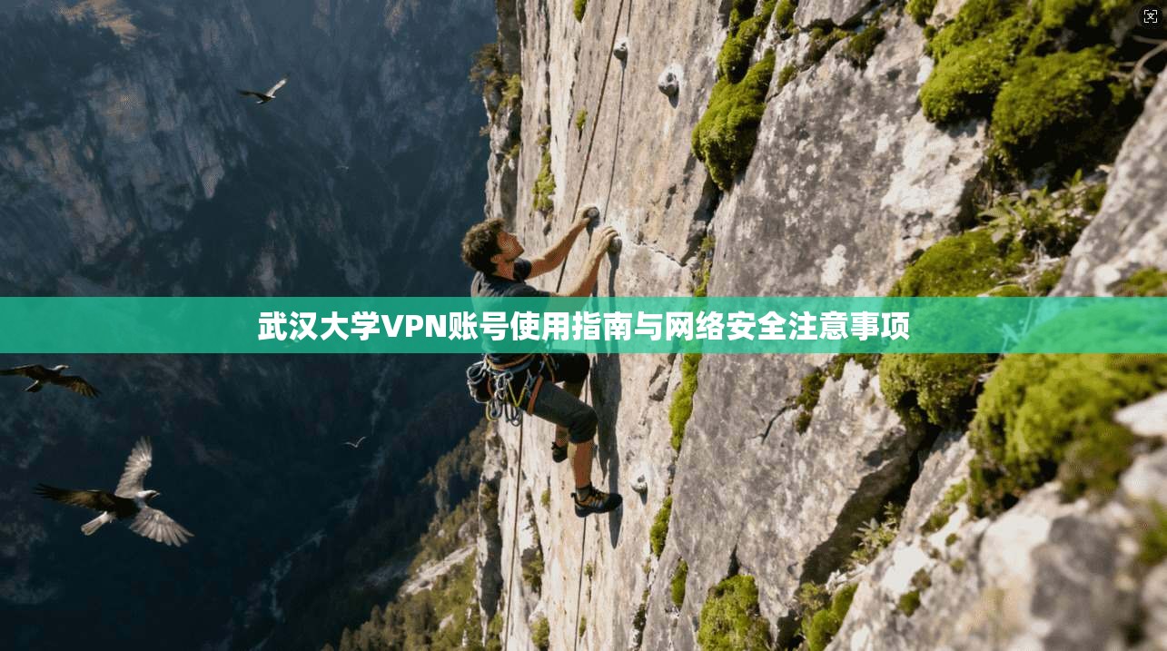 武汉大学VPN账号使用指南与网络安全注意事项