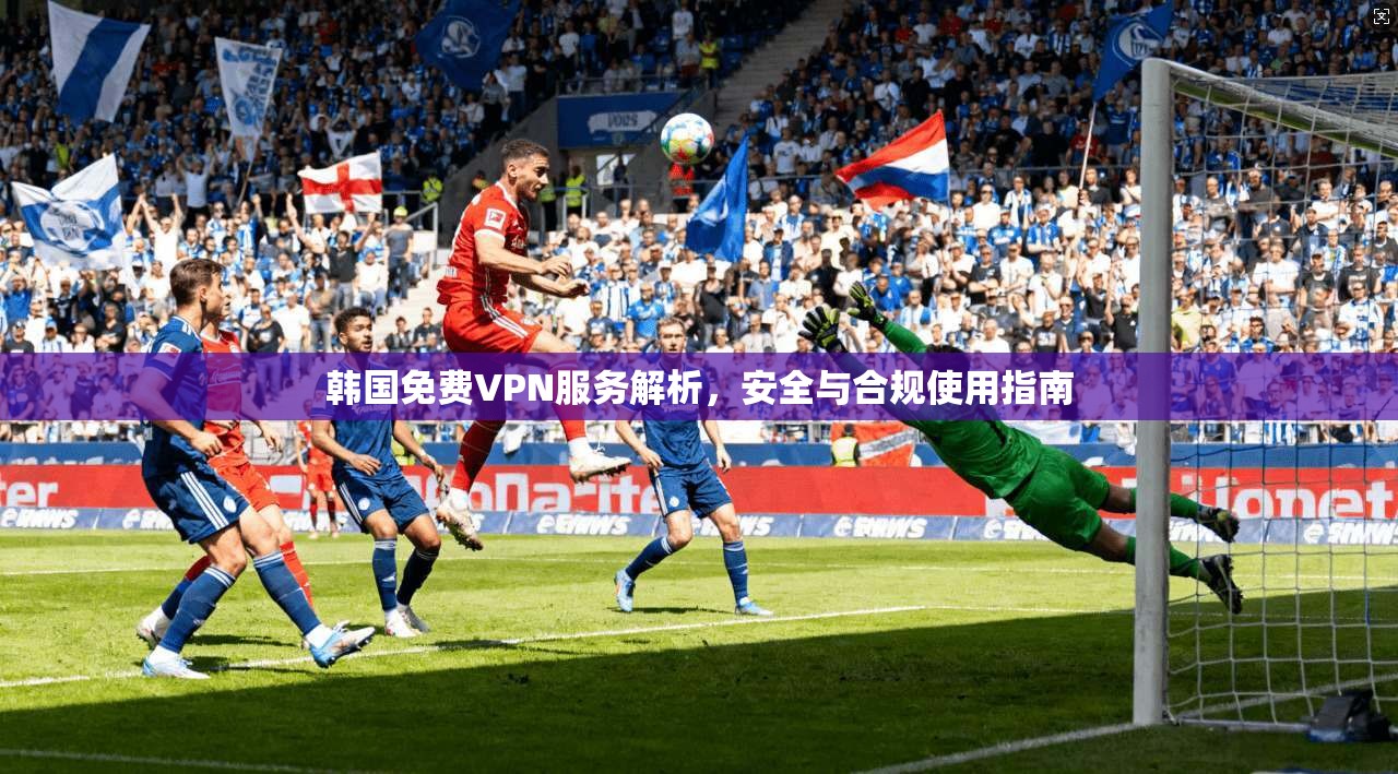 韩国免费VPN服务解析，安全与合规使用指南