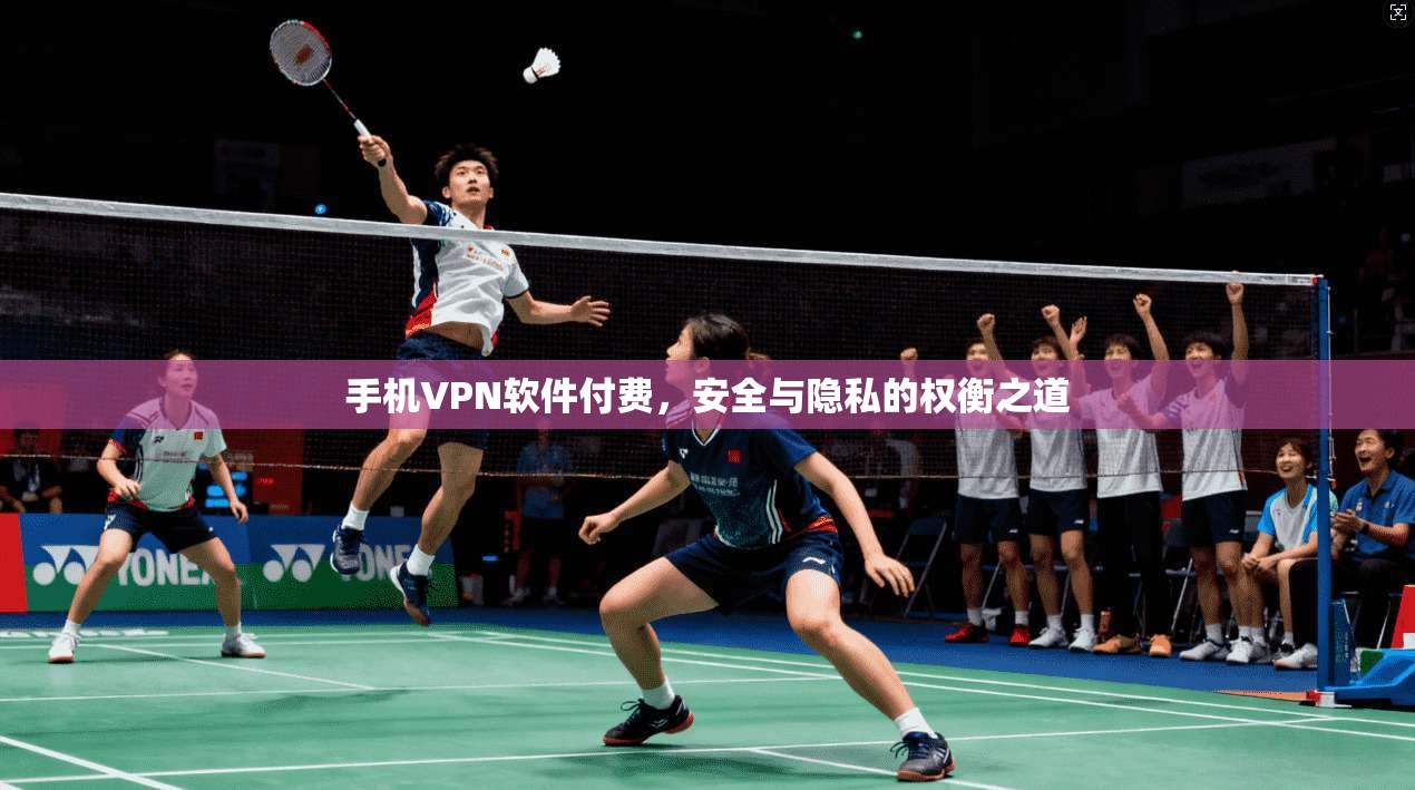 手机VPN软件付费，安全与隐私的权衡之道