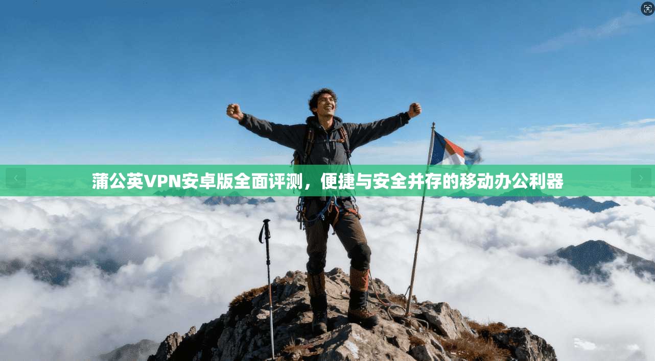 蒲公英VPN安卓版全面评测，便捷与安全并存的移动办公利器