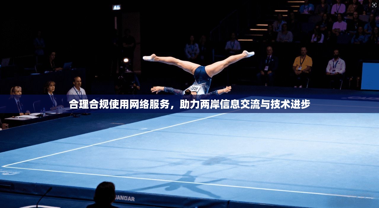 合理合规使用网络服务，助力两岸信息交流与技术进步