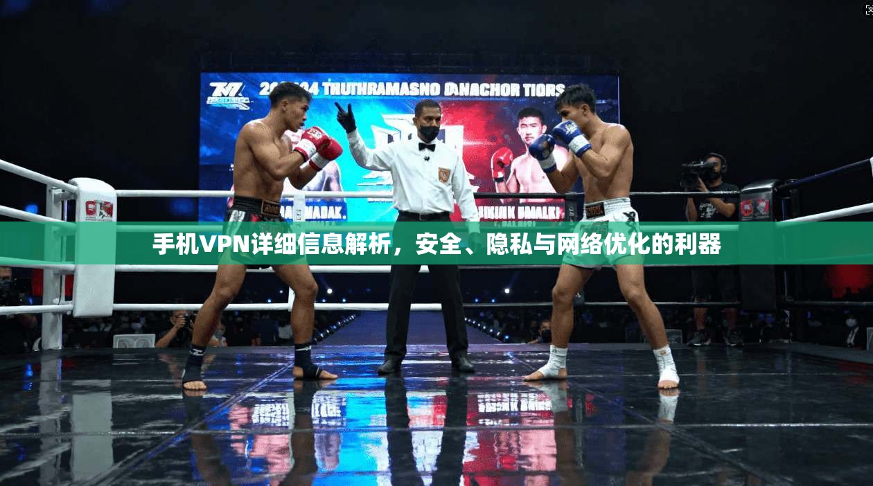 手机VPN详细信息解析，安全、隐私与网络优化的利器