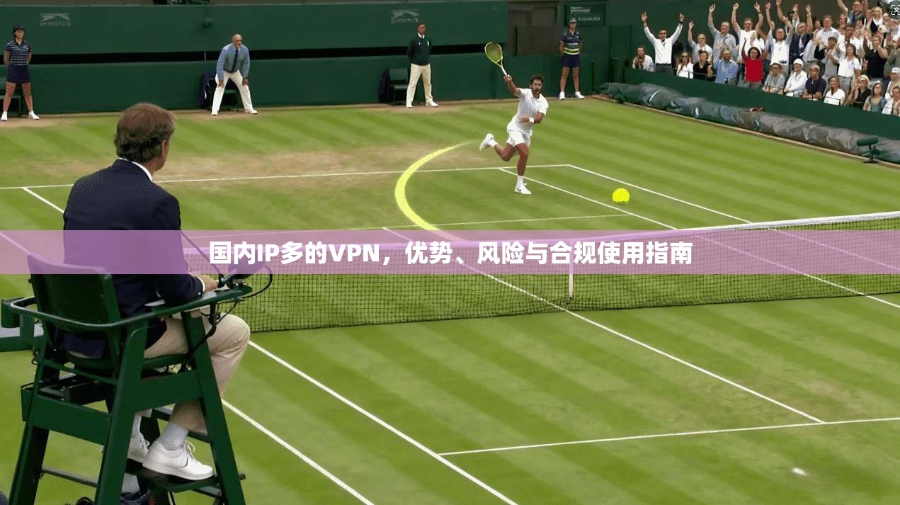 国内IP多的VPN，优势、风险与合规使用指南