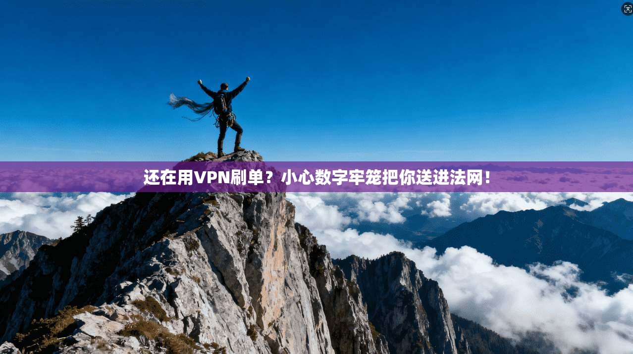 还在用VPN刷单？小心数字牢笼把你送进法网！