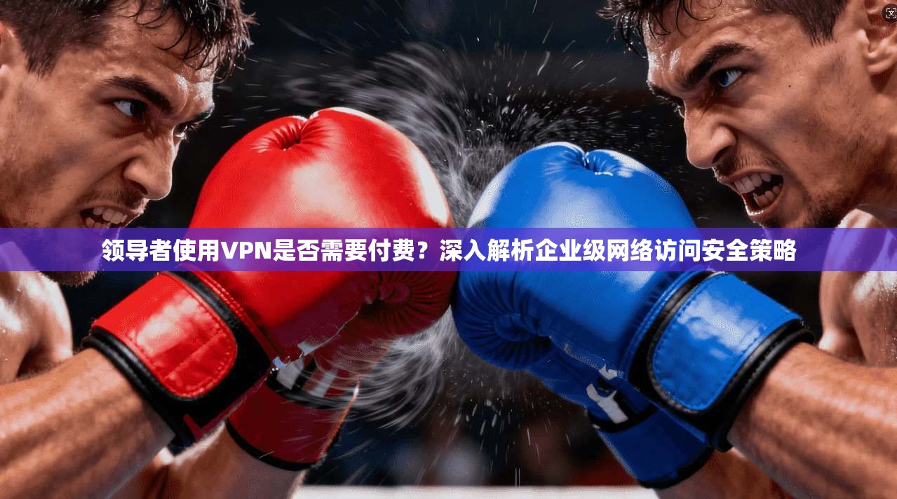 领导者使用VPN是否需要付费？深入解析企业级网络访问安全策略