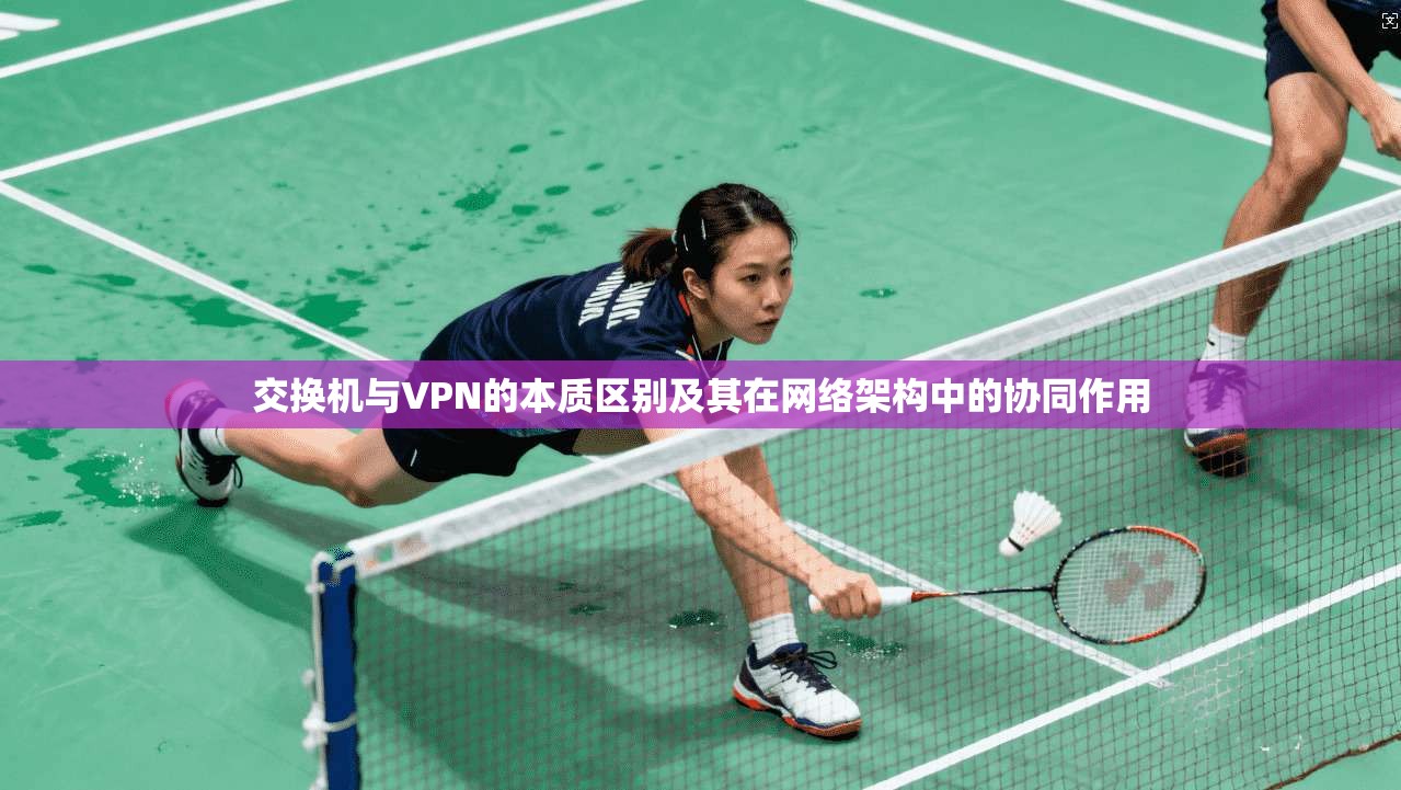 交换机与VPN的本质区别及其在网络架构中的协同作用