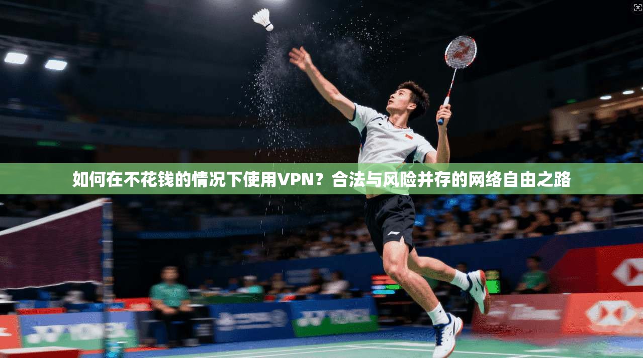 如何在不花钱的情况下使用VPN？合法与风险并存的网络自由之路