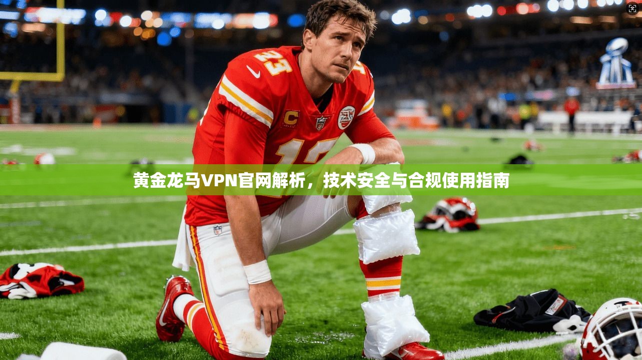 黄金龙马VPN官网解析，技术安全与合规使用指南