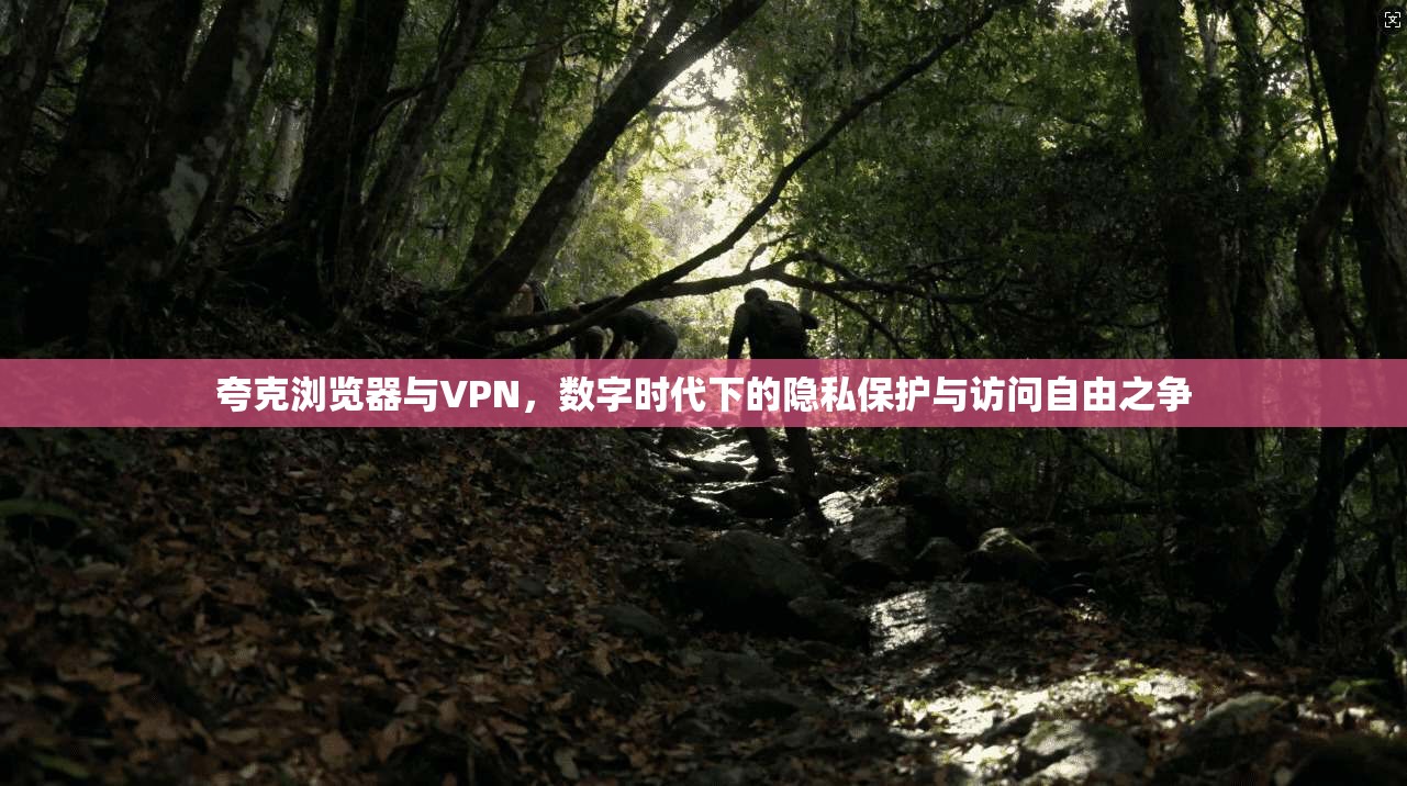 夸克浏览器与VPN，数字时代下的隐私保护与访问自由之争