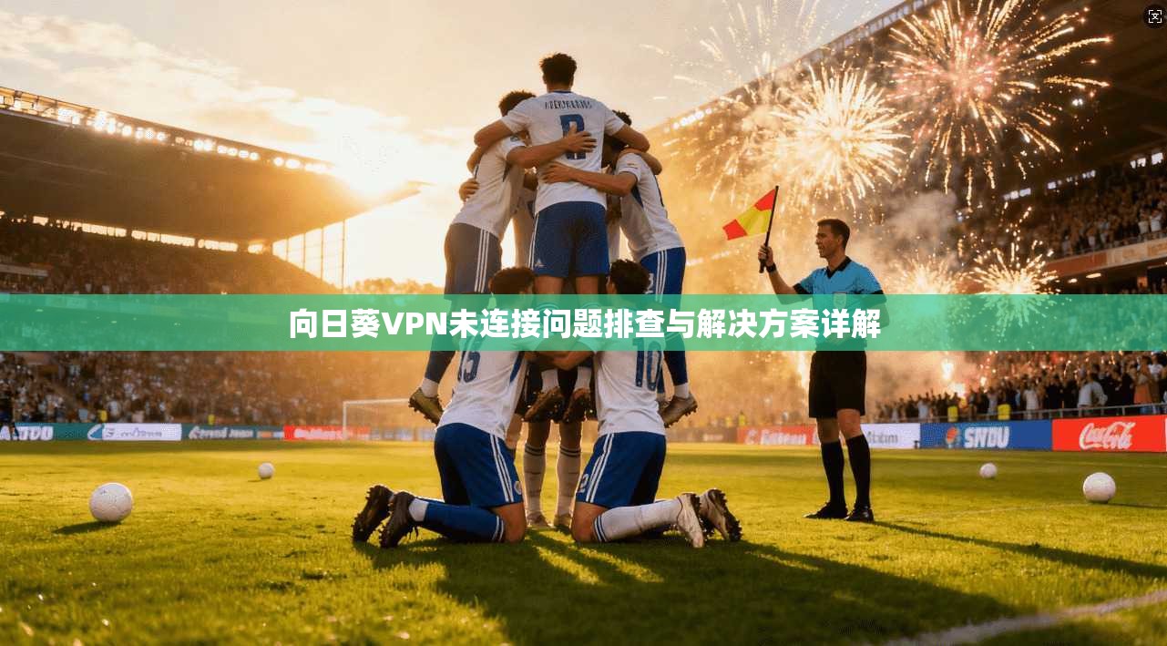向日葵VPN未连接问题排查与解决方案详解