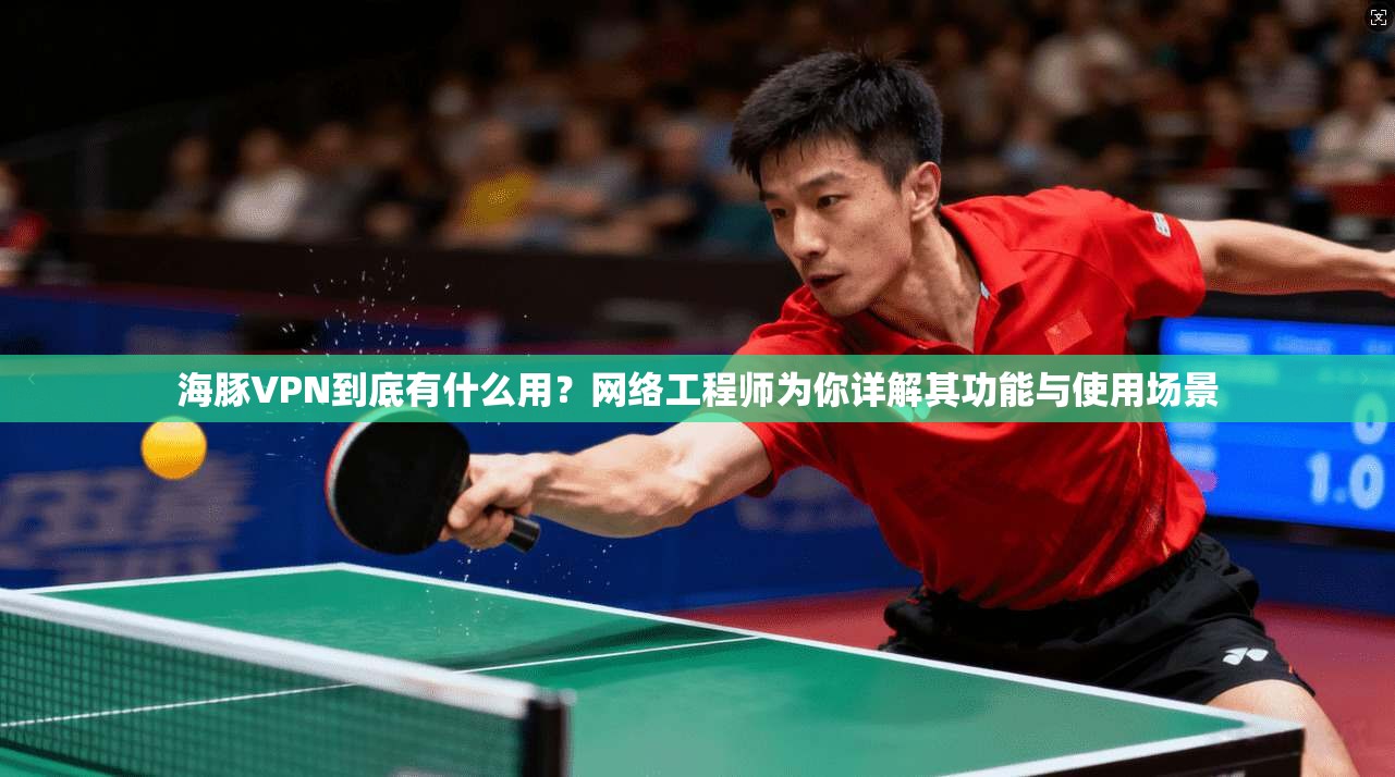 海豚VPN到底有什么用？网络工程师为你详解其功能与使用场景