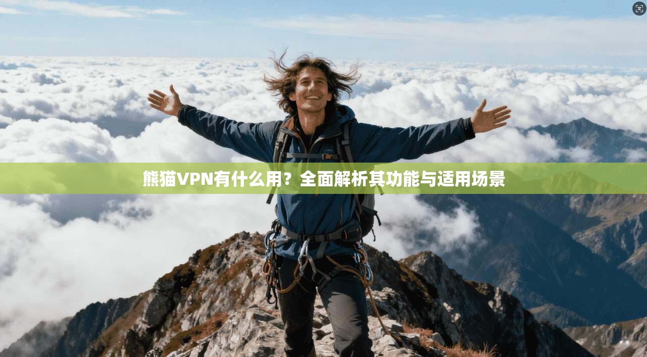 熊猫VPN有什么用？全面解析其功能与适用场景