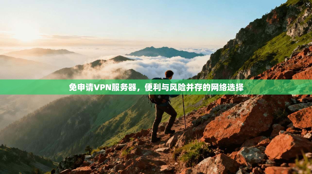 免申请VPN服务器，便利与风险并存的网络选择