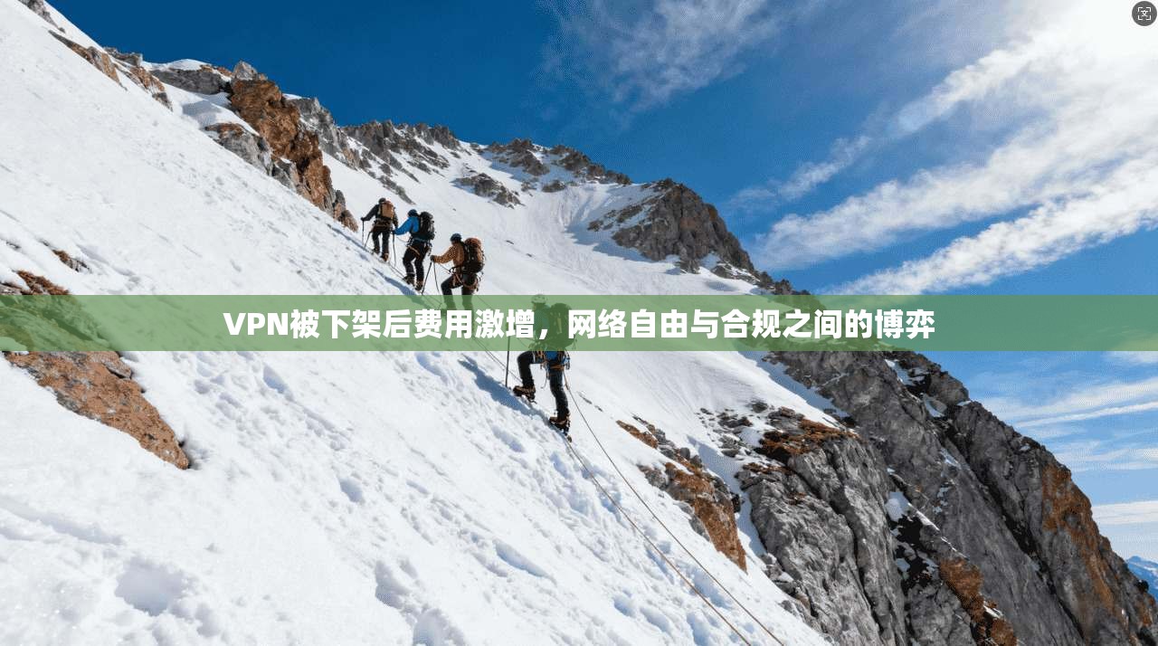 VPN被下架后费用激增，网络自由与合规之间的博弈