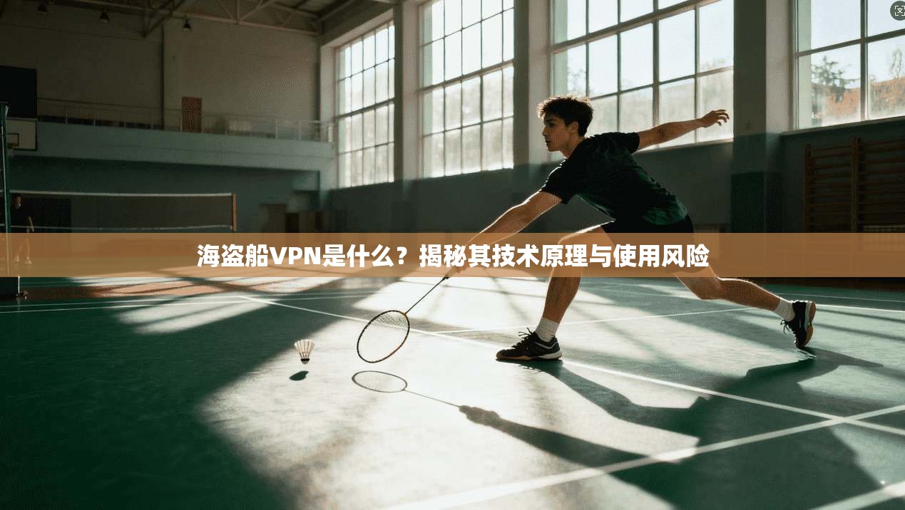 海盗船VPN是什么？揭秘其技术原理与使用风险
