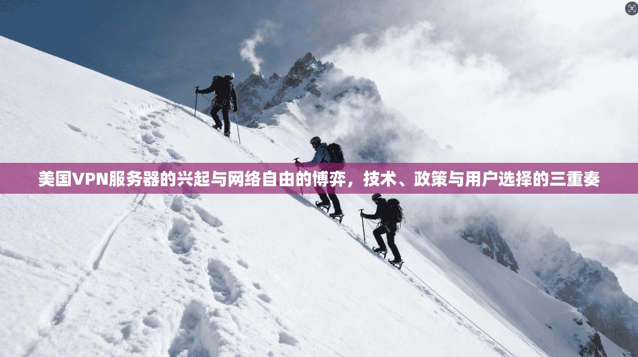 美国VPN服务器的兴起与网络自由的博弈，技术、政策与用户选择的三重奏