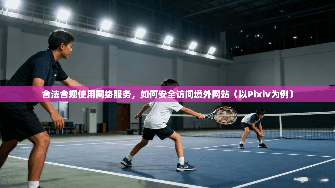 合法合规使用网络服务，如何安全访问境外网站（以Pixiv为例）