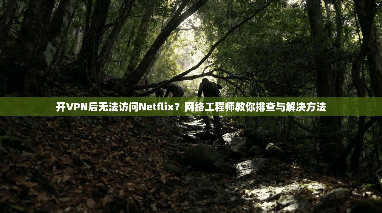 开VPN后无法访问Netflix？网络工程师教你排查与解决方法