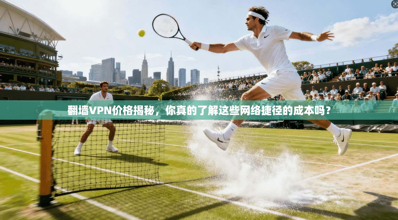 翻墙VPN价格揭秘，你真的了解这些网络捷径的成本吗？