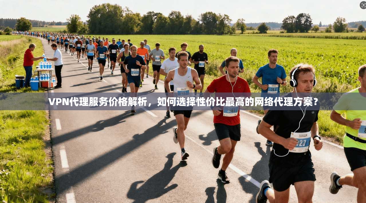 VPN代理服务价格解析，如何选择性价比最高的网络代理方案？