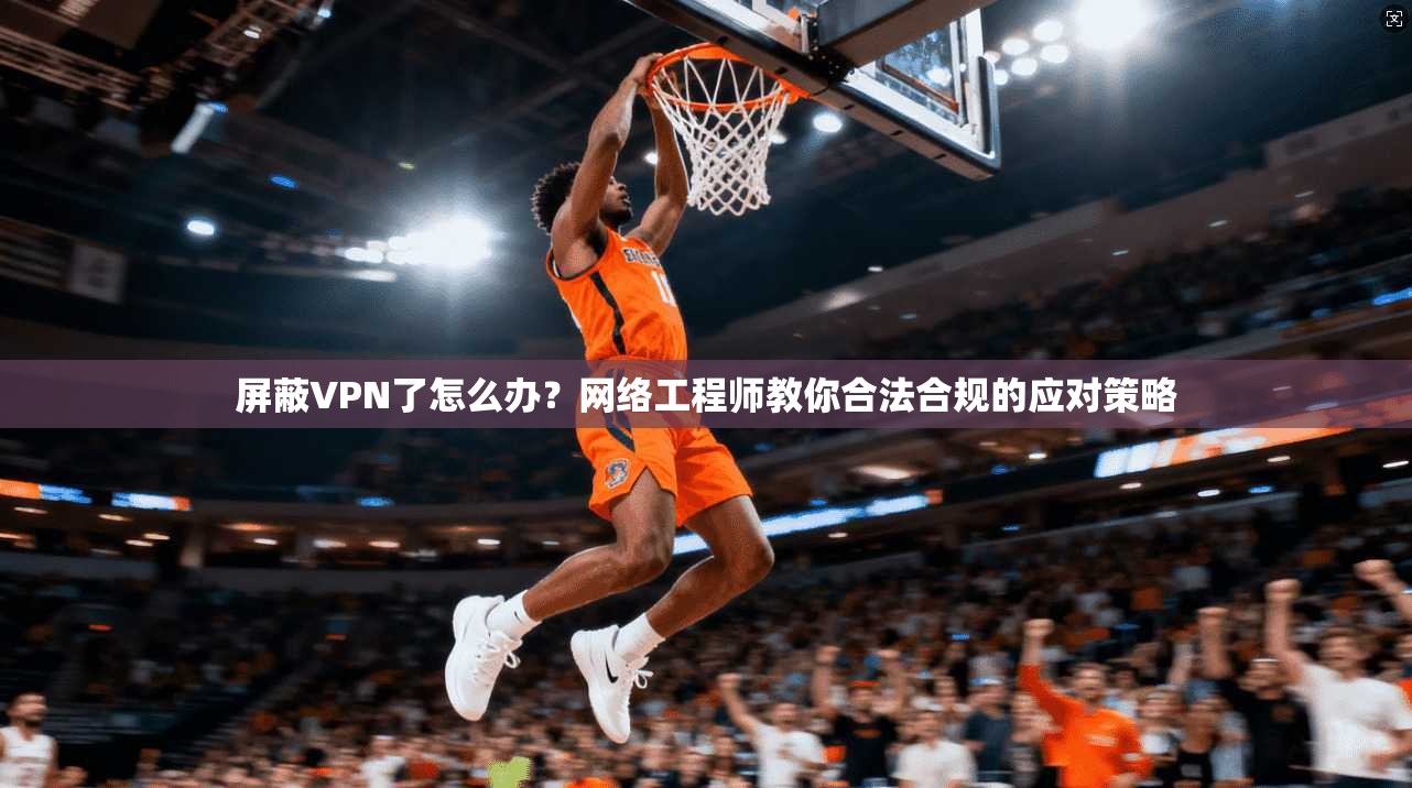 屏蔽VPN了怎么办？网络工程师教你合法合规的应对策略