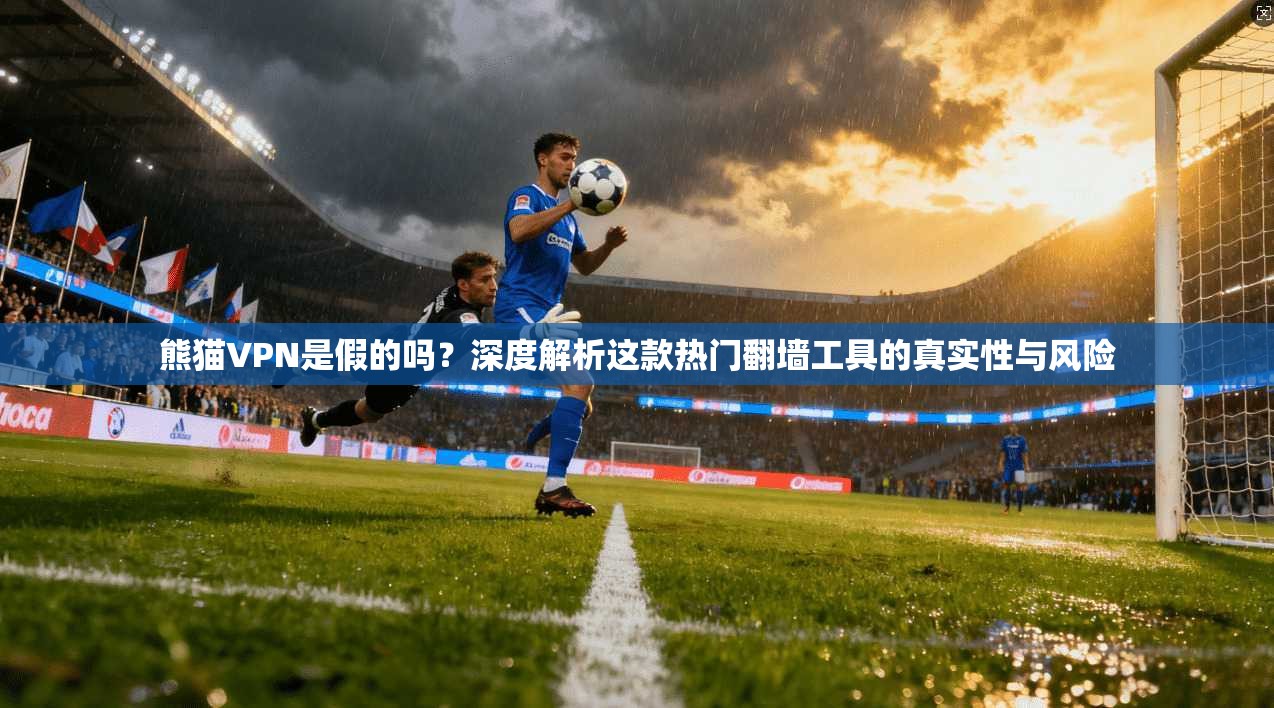 熊猫VPN是假的吗？深度解析这款热门翻墙工具的真实性与风险