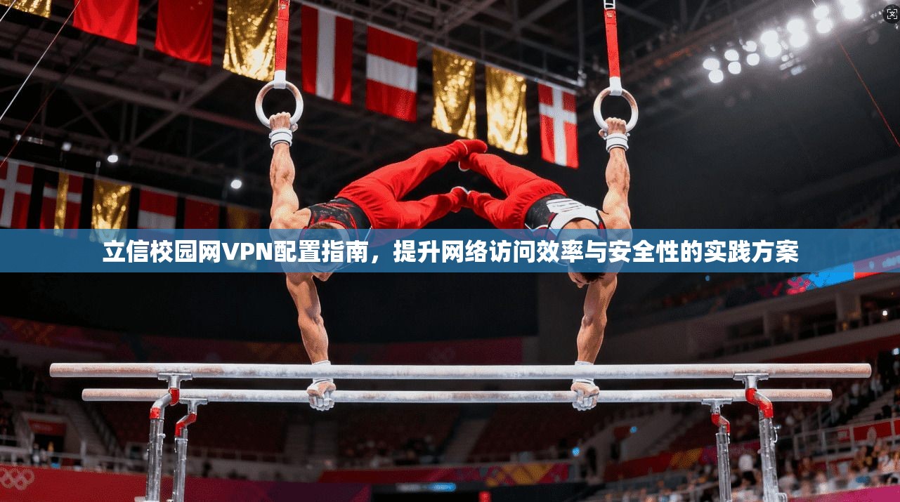 立信校园网VPN配置指南，提升网络访问效率与安全性的实践方案